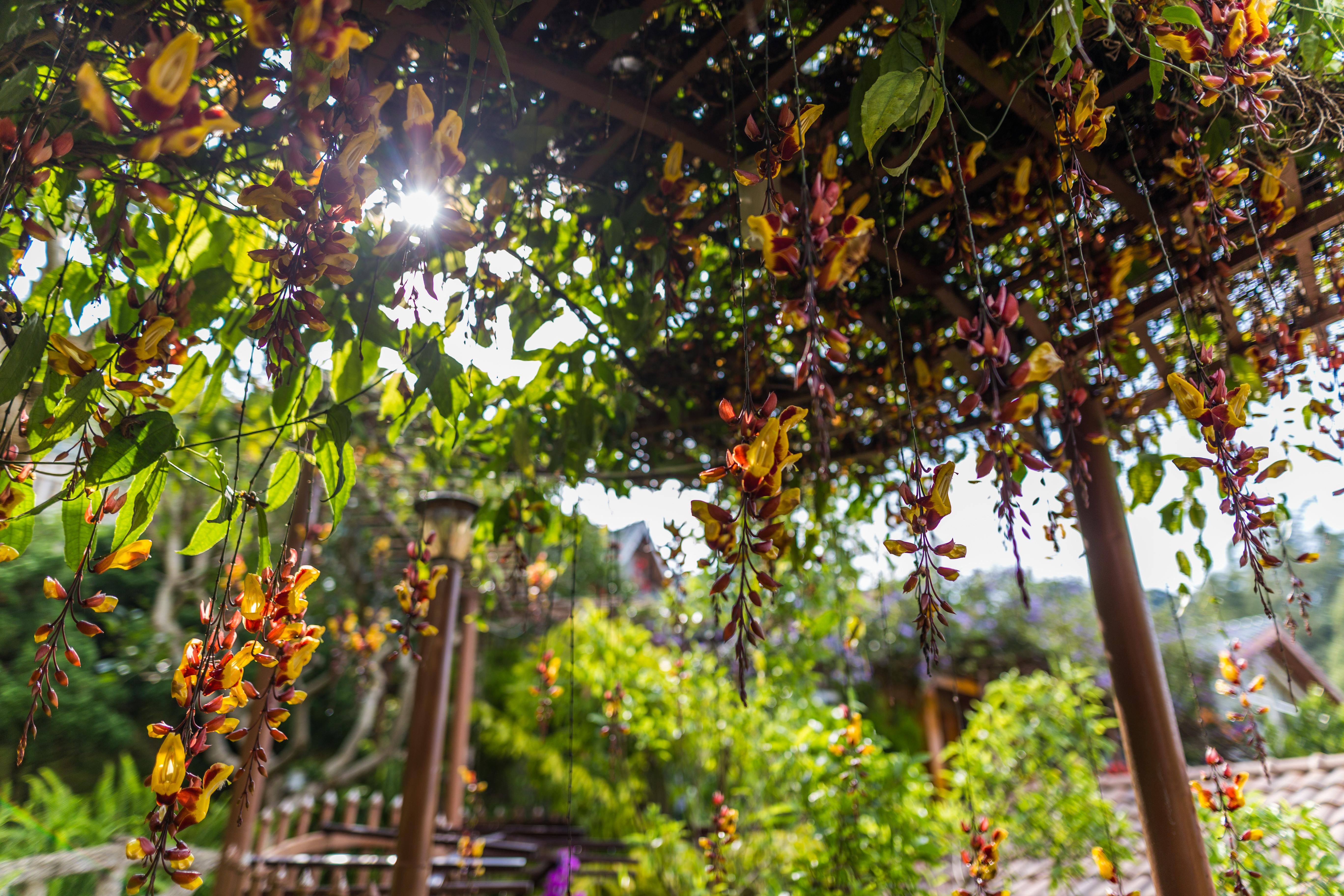Zen Valley Dalat מראה חיצוני תמונה