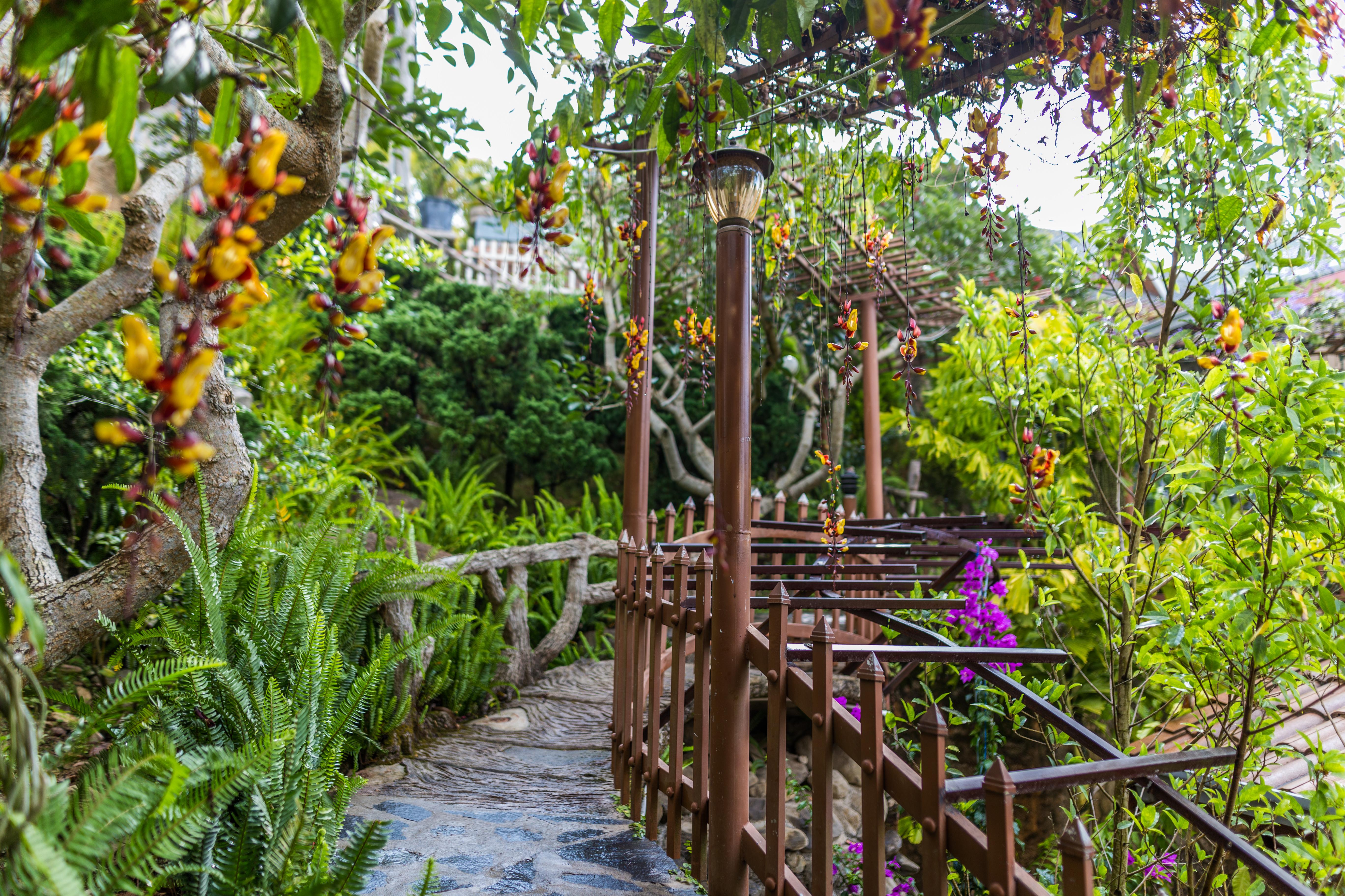 Zen Valley Dalat מראה חיצוני תמונה
