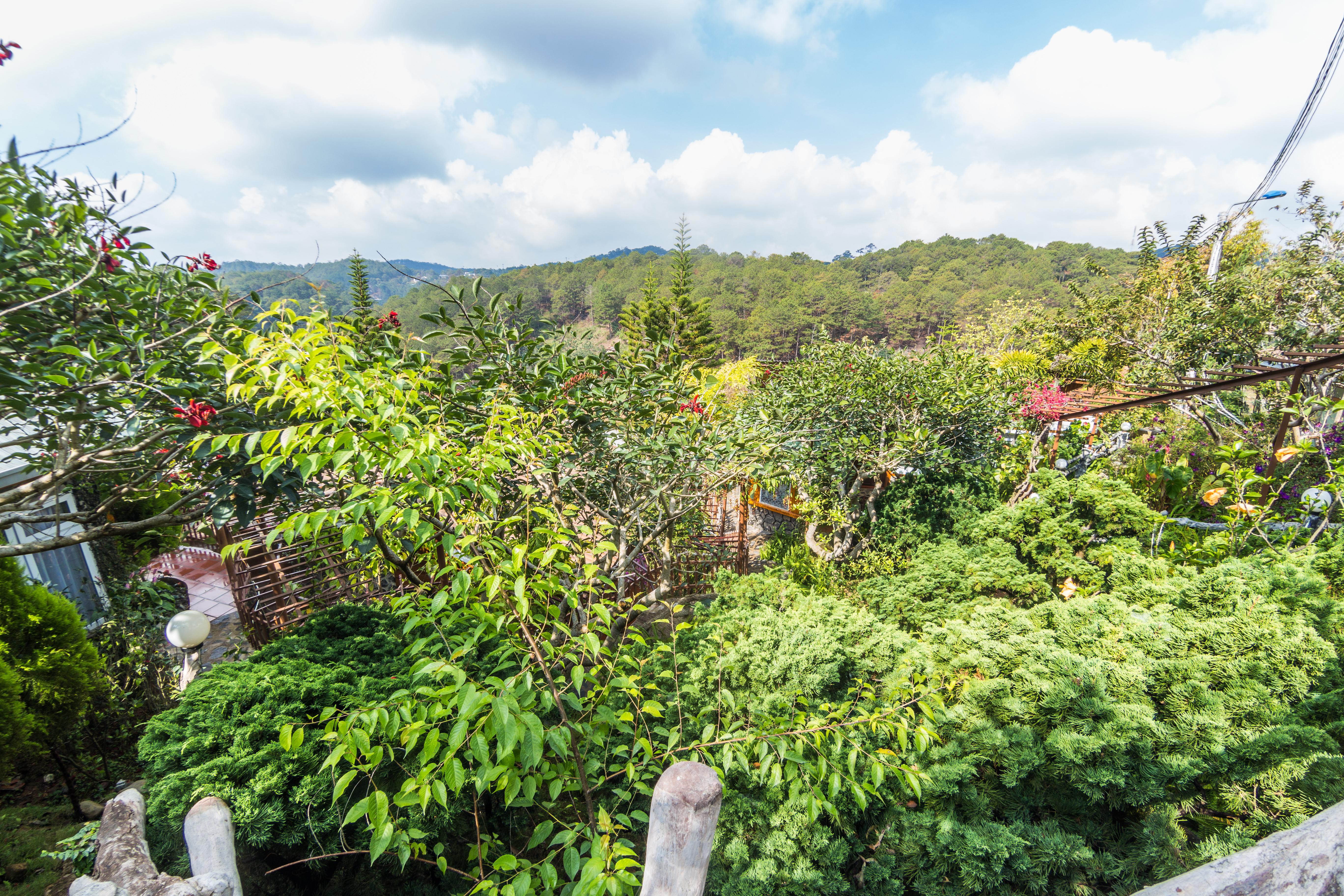 Zen Valley Dalat מראה חיצוני תמונה